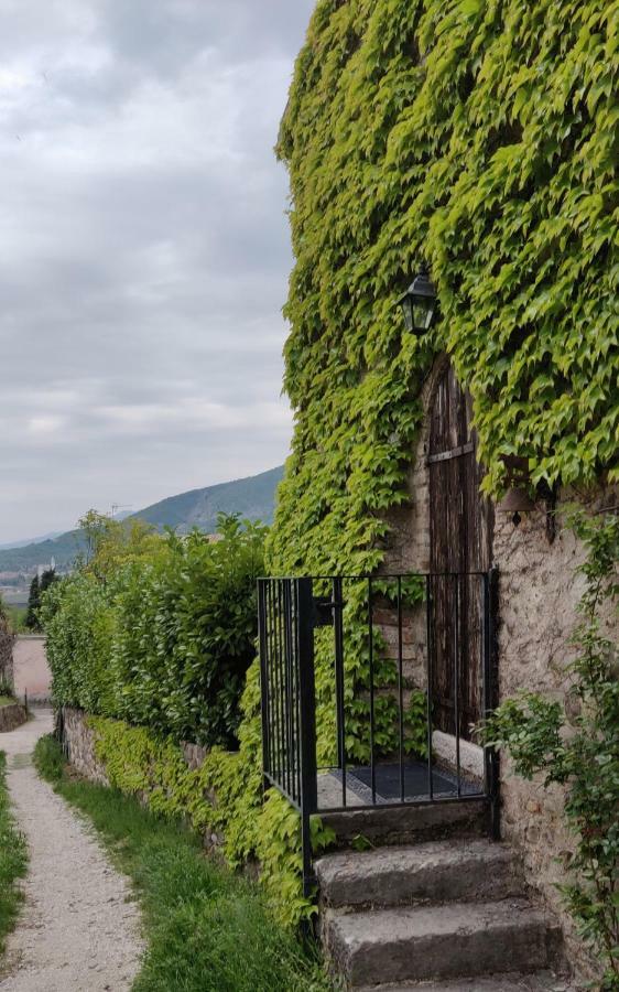 Apartament Giardino Degli Ulivi Caprino Veronese Zewnętrze zdjęcie