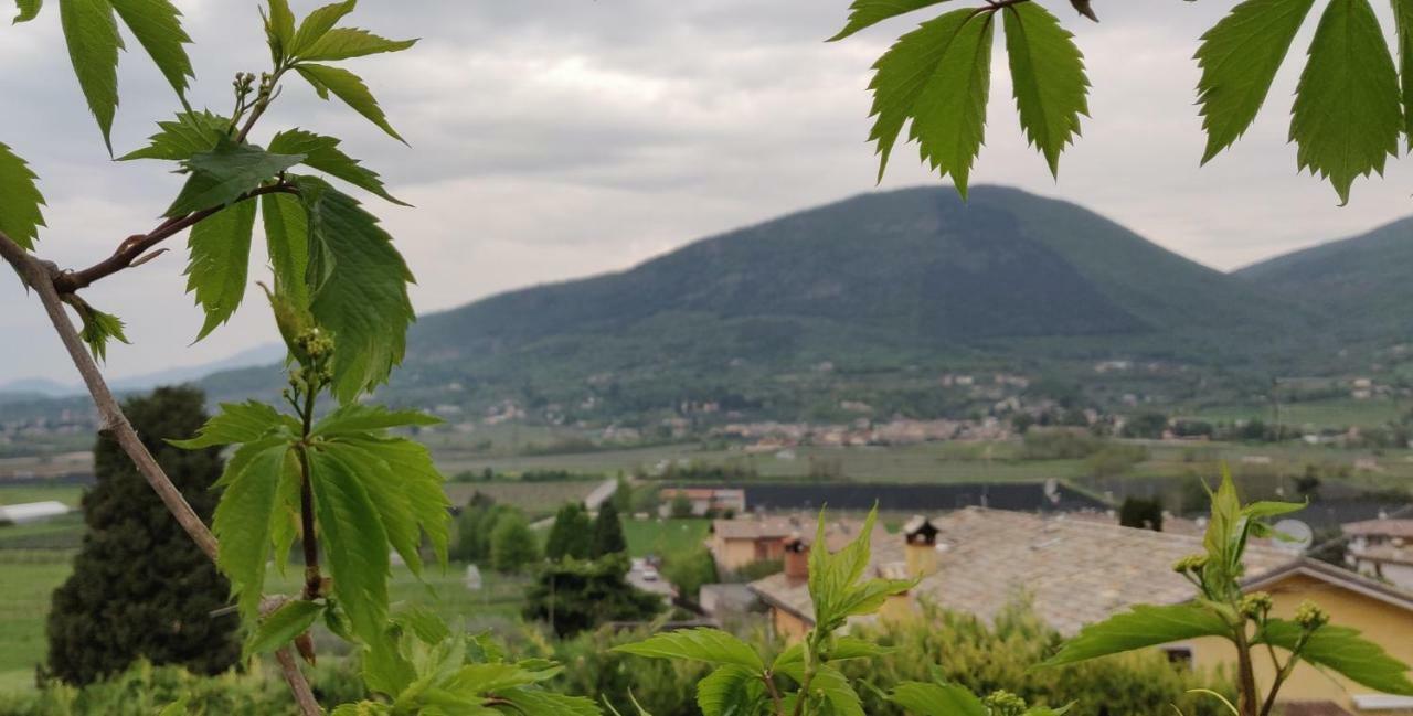 Apartament Giardino Degli Ulivi Caprino Veronese Zewnętrze zdjęcie